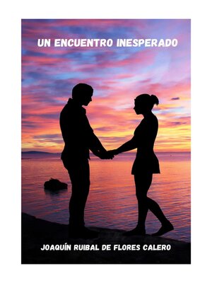 cover image of UN ENCUENTRO INESPERADO